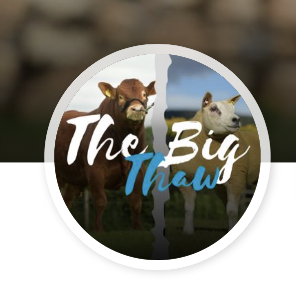 Read more about the article Ducati semen for sale via The Big Thaw Sale