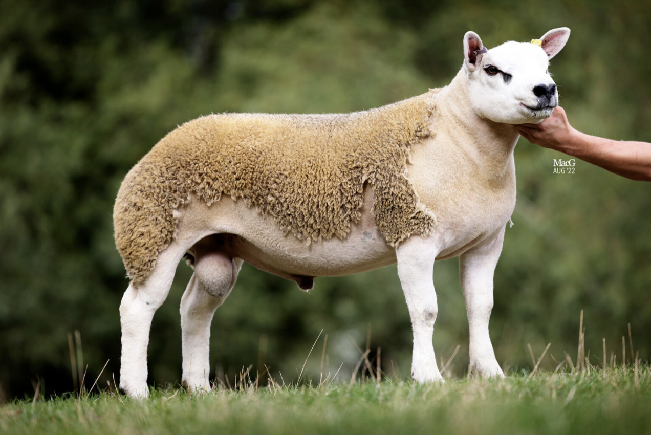 Read more about the article Freaky Fresh takes Worcester championship