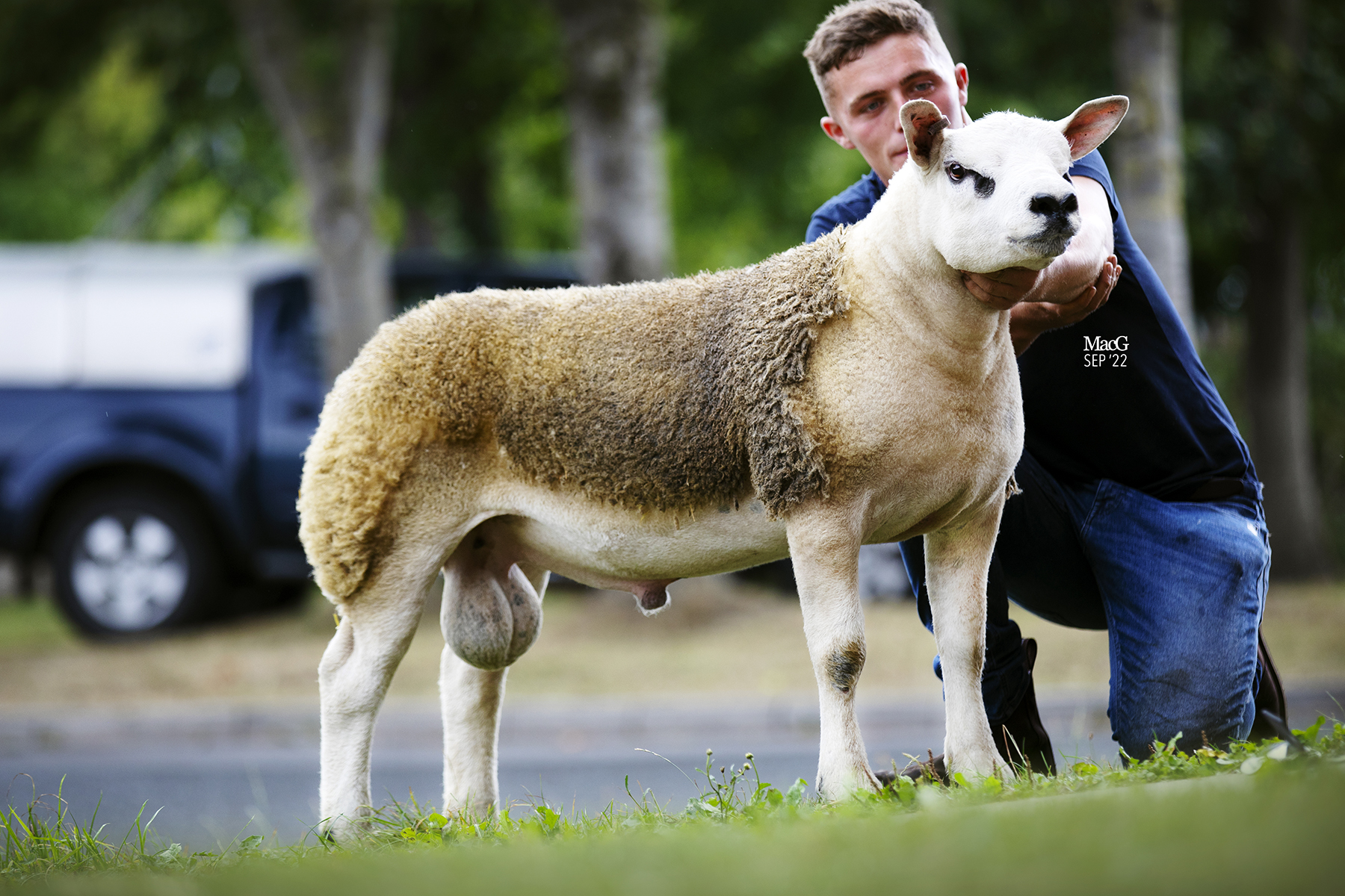 Read more about the article Clanfield Ferrari sells for 9000gns in Carlisle