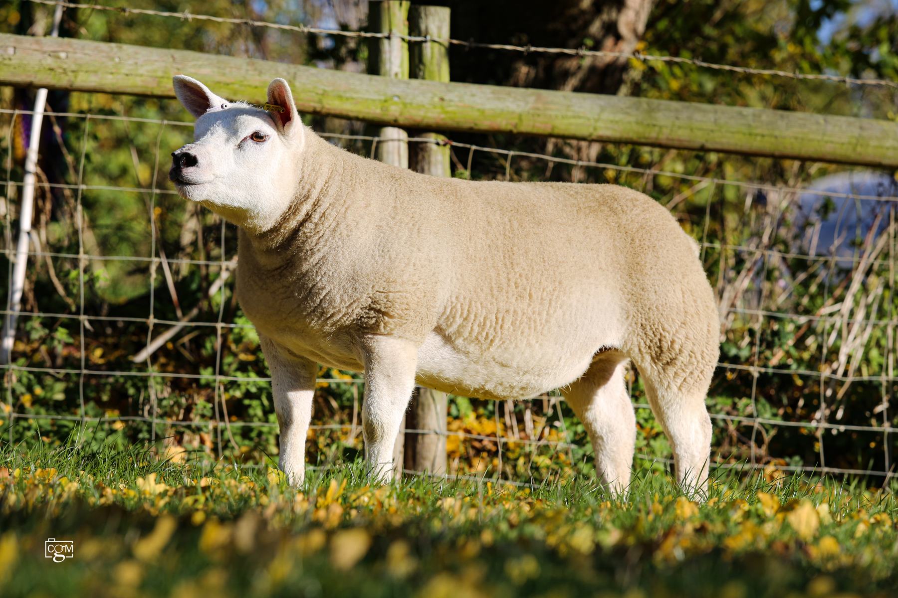 Read more about the article Winter Warmers line up